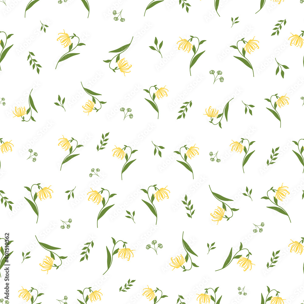 Fototapeta premium Floral Seamless Pattern with Vector Ylang Ylang or Cananga Flowers Branches, Buds and Leaves. Graphic Print for Product Packaging related to Perfumery, Soaps, Cosmetics, Aromatherapy Essential Oils