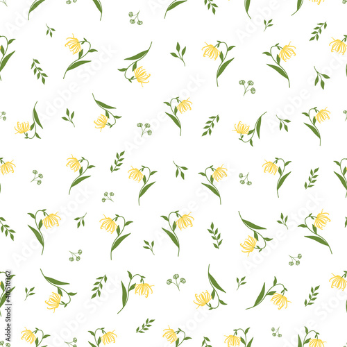 Floral Seamless Pattern with Vector Ylang Ylang or Cananga Flowers Branches, Buds and Leaves. Graphic Print for Product Packaging related to Perfumery, Soaps, Cosmetics, Aromatherapy Essential Oils © Leaf2Tree Studio