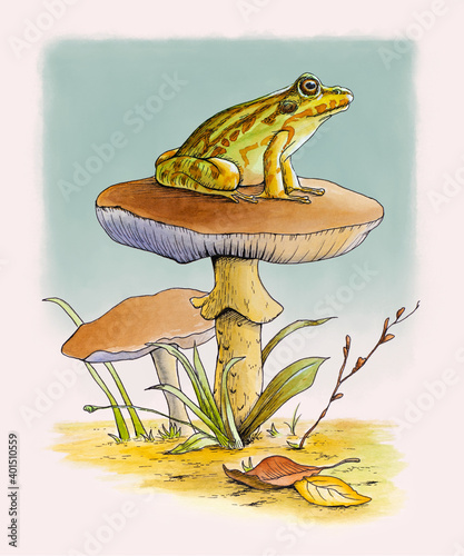 Frog resting on a mushroom