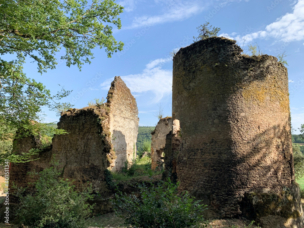 Ruined castle near the troglodytic village of La Madeleine. Perigord, France