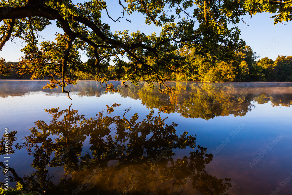 Tree reflection at sunrise in a park in Munich, Bavaria, Germany Tree reflection at sunrise in a park in Munich, Bavaria, Germany