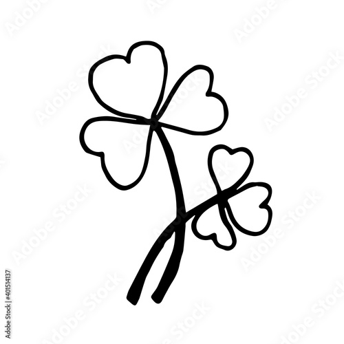 Two leaves of clover on a white background