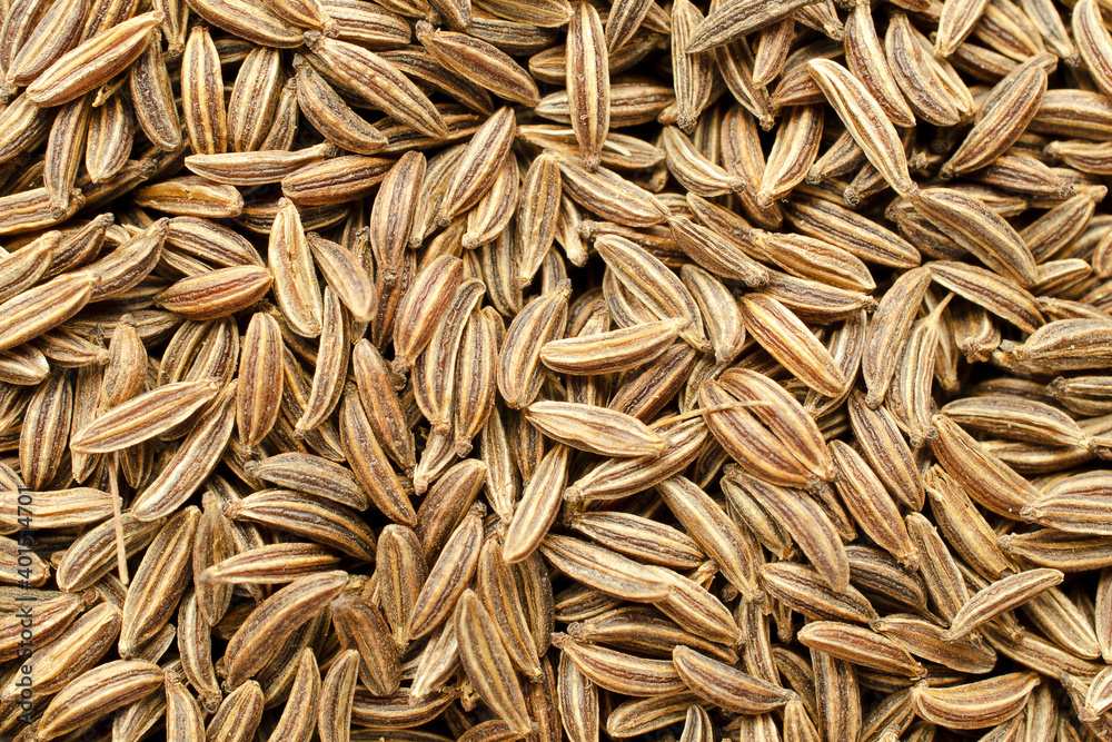 Background from dry cumin seeds, top view. Heap of caraway seeds, macro photography, texture. Pile of caraway seeds as a background texture composition. Background from caraway seeds, top view.