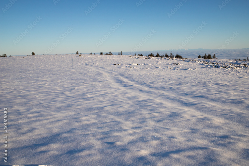 beautiful landscape with fresh snow winter background banner