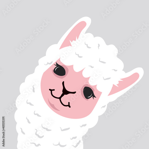 Cute hand drawn llama character vector
