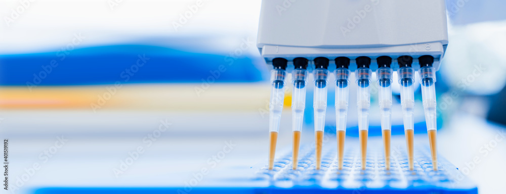 Medical and scientific banner with free space. 8-channel pipette and 96-well test plate. Genetic laboratory research technician. medical research laboratory. purification of DNA samples.