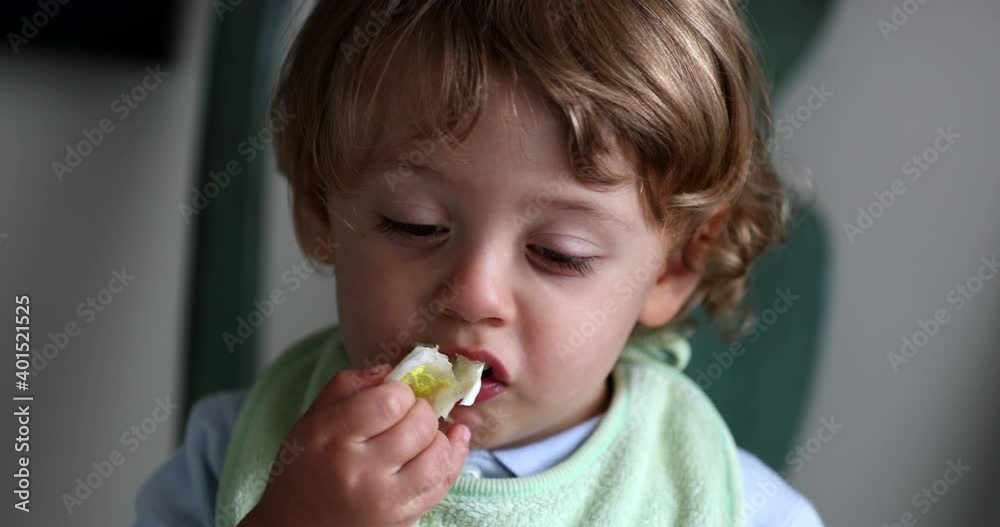 Child eating celery. Cute toddler boy eats healthy vegetable snack Child eating celery. Cute toddler boy eats healthy vegetable snack