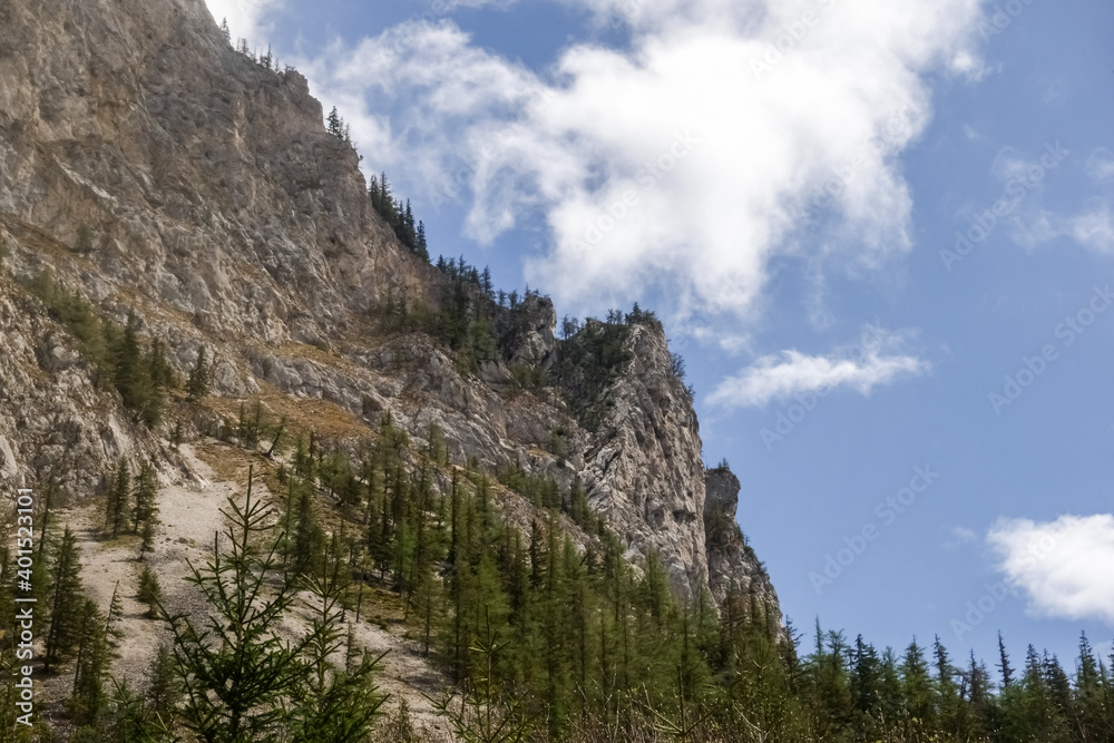 mountain with rugged rocks and pine trees mountain with rugged rocks and pine trees