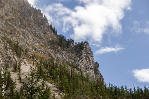 mountain with rugged rocks and pine trees