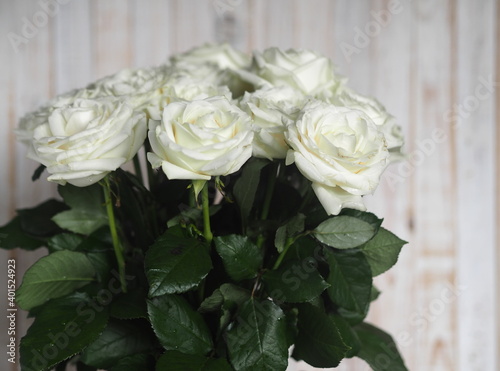 Floral card. Beautiful white rose on a wooden background  top view.