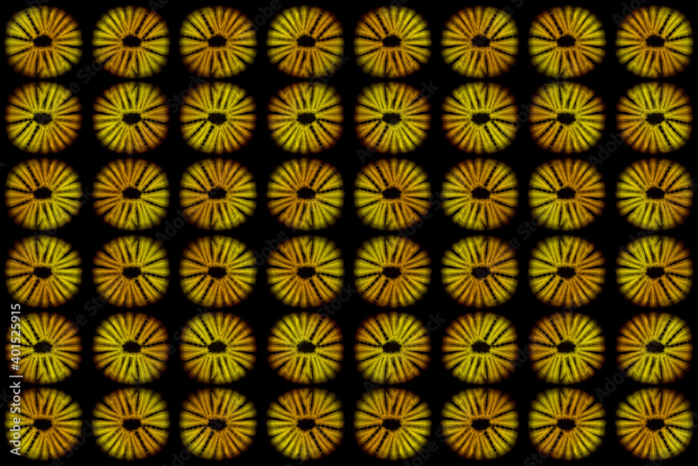 Wall of African batiks, cotton, seamless, multi-colored  