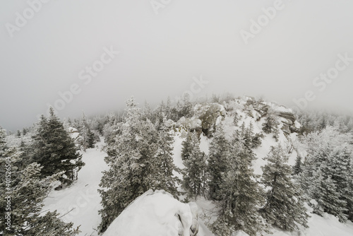 snow-covered winter coniferous forest, with completely snow-covered Christmas trees in Taganay national Park