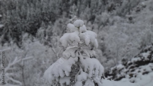 Winter 