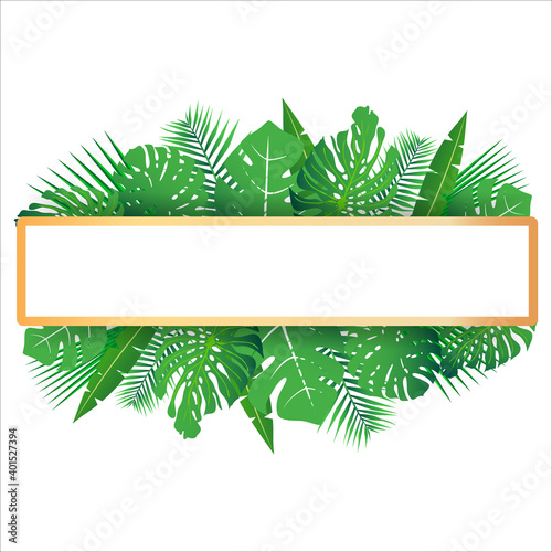 Tropical leaves around an empty space. Elegant backdrop decorated with foliage of exotic jungle plants. Natural frame or border