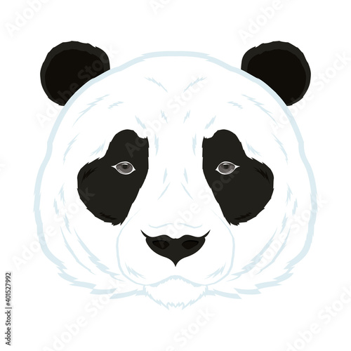 wild bear panda animal head fauna character