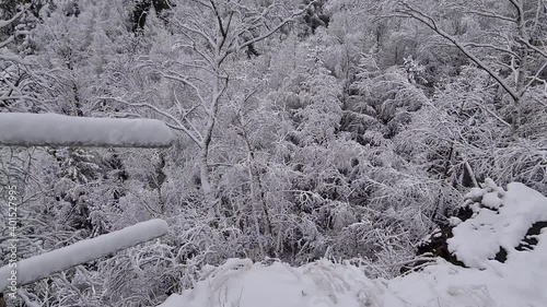 Winter 