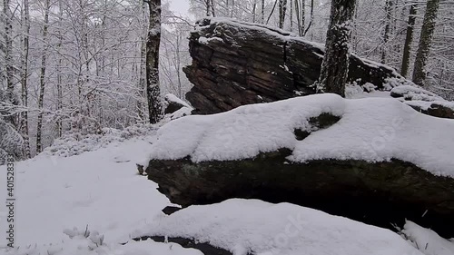 Winter 