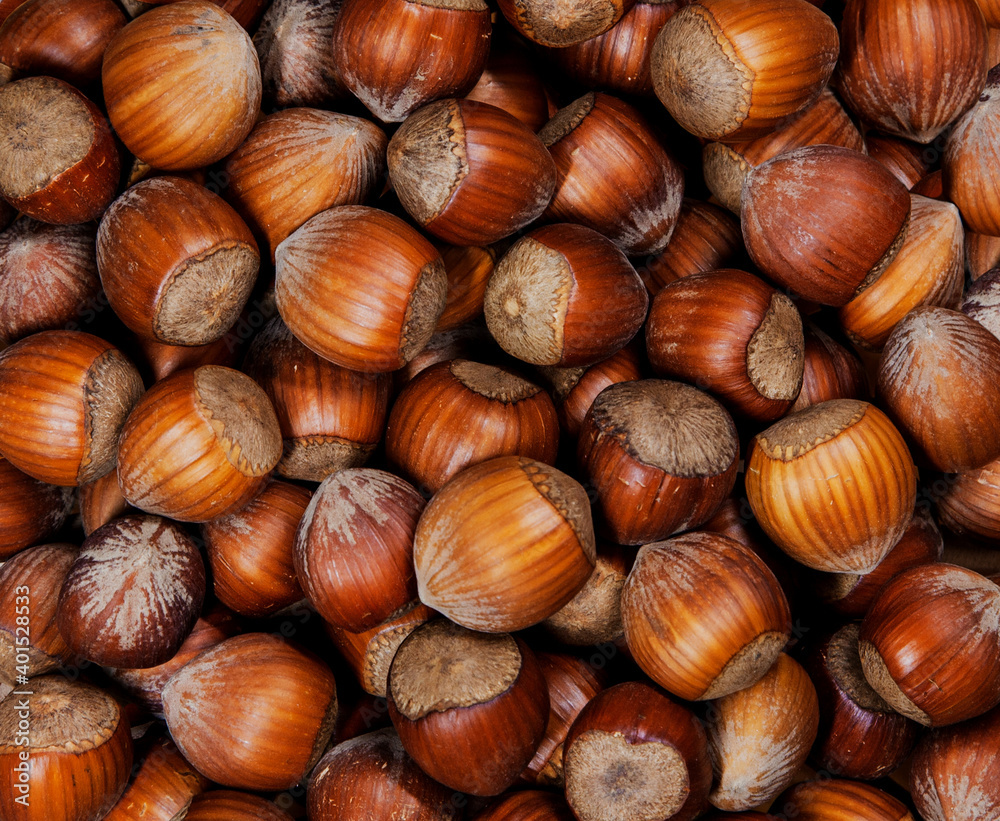 Full Frame of organic hazelnuts with nutshell, flat lay. Top view autumn texture backdrop. Harvest, fall concept. Filbert, nut frame. Food ingredient hazelnuts Background, macro detailed close up Full Frame of organic hazelnuts with nutshell, flat lay. Top view autumn texture backdrop. Harvest, fall concept. Filbert, nut frame. Food ingredient hazelnuts Background, macro detailed close up