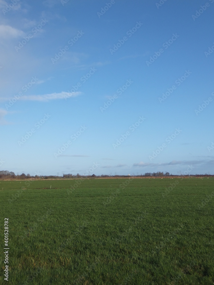 Fototapeta premium Tudor Schleurholts