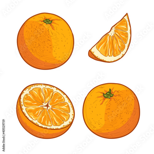 Set of colorful vector oranges. Half an orange. Slice of orange.