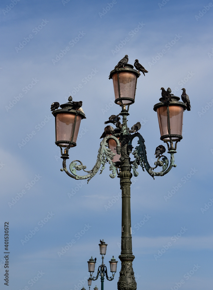 Just doves on a lamppost