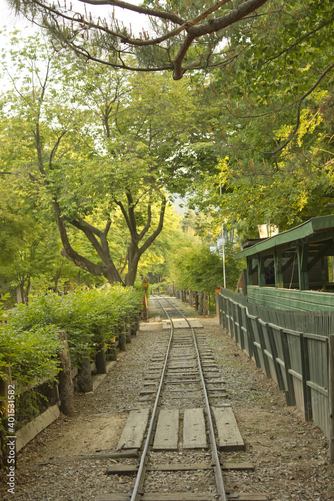 railway line passing through the summer forest at Nami Island railway line passing through the summer forest at Nami Island