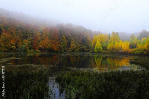 Misty autumn lake.