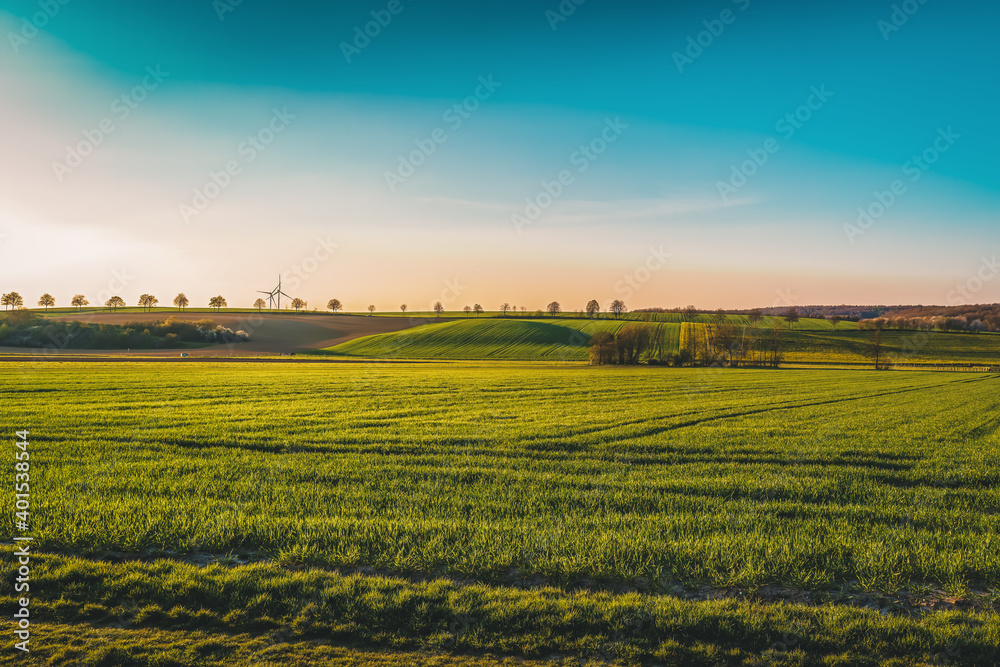 A sunny colorful evening landscape with meadows and fields.