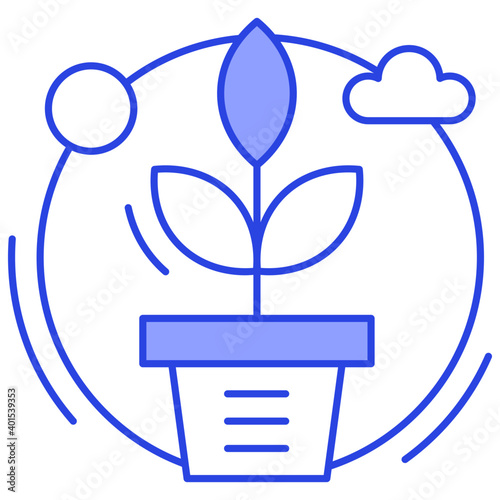 Plant 