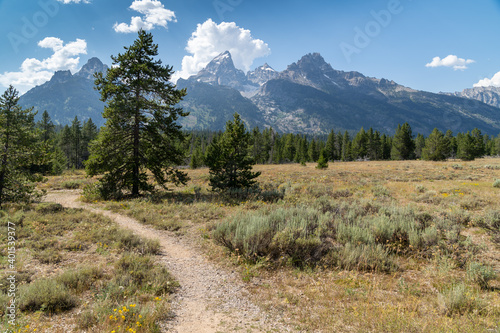 Trail in Grand Teton National Park in summer