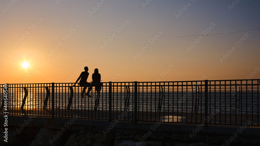 couple of friends or lovers sharing the sunset sitting on a fence or pier on the beach watching the sea and a flock of birds adorning the landscape