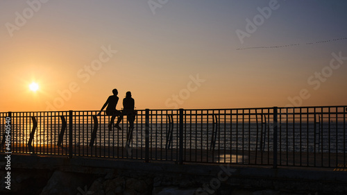 couple of friends or lovers sharing the sunset sitting on a fence or pier on the beach watching the sea and a flock of birds adorning the landscape