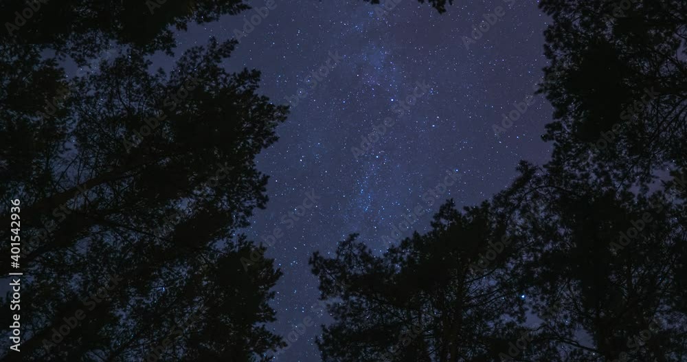 Timelapse of night forest. Starry sky is visible between trees. Fast movement, Earth rotation demonstration