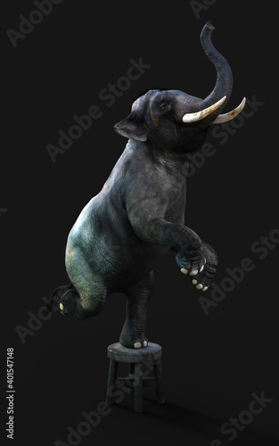 3d Illustration of an elephant standing one leg on a small stool isolated on dark background with clipping path.