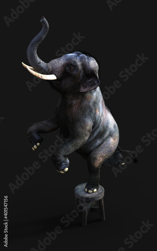 3d Illustration of an elephant standing one leg on a small stool isolated on dark background with clipping path.