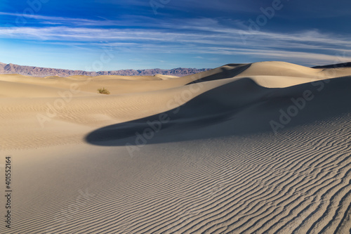 Mesquite sand dunes  in Death Valley  California. Rippled pattern on the sand. Crest of dunes on right  snaking into the distance. Lower levels partially in shadow. 