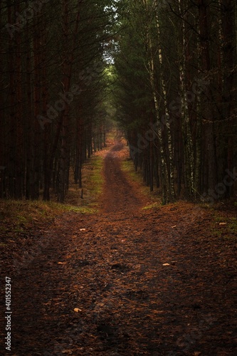 On the road to his destiny photo