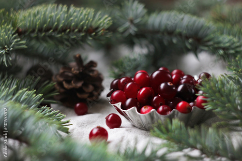 red berries on a tree