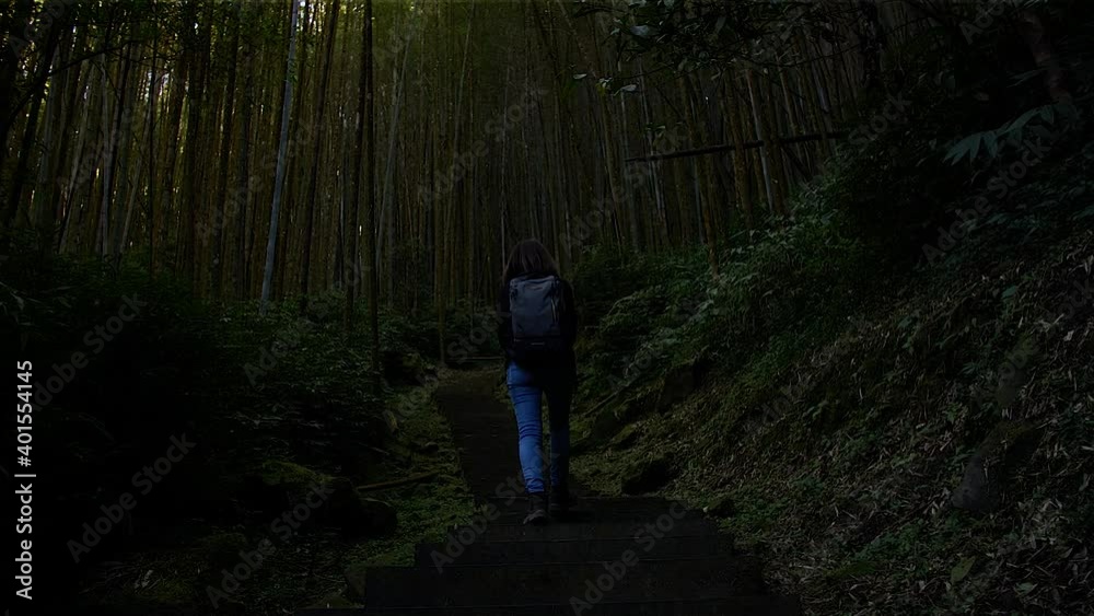 Girl walking up the stairs at bambu forest in Alishan National Forest Recreation Area, Alishan, Taiwan. High angle, traveling movement, slow motion, HD.