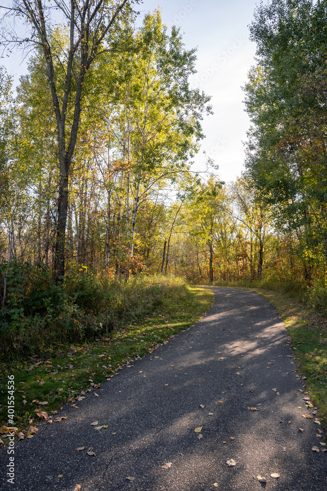 paved trail through an autumn park