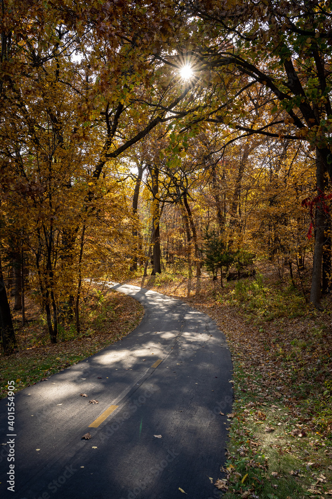 Naklejka premium sun above a path in the autumn forest