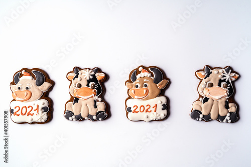 Christmas gingerbread in the shape of bull on white background.