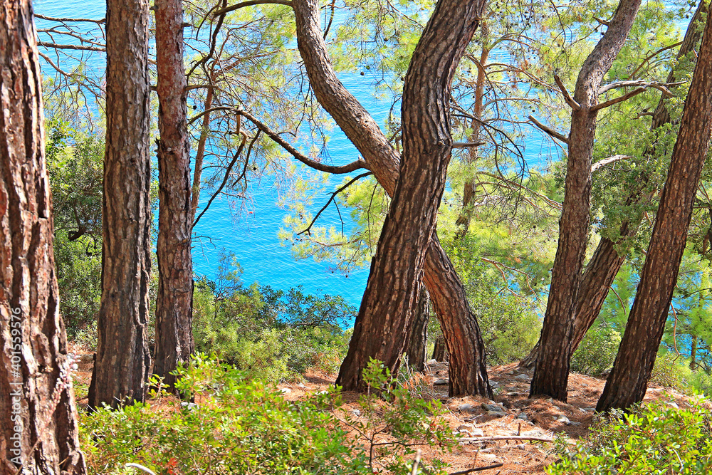 Obraz premium mountain view of the Mediterranean Sea in Turkey