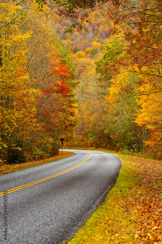 Beautiful Fall Day on Blue Ridge Parkway Vertical © Carol