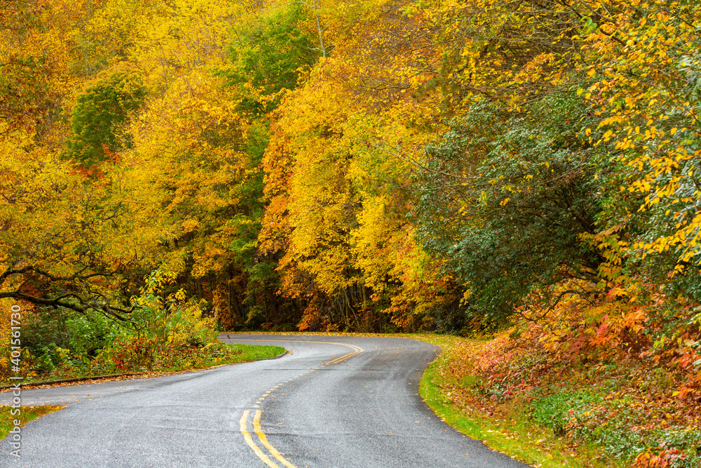 Naklejka premium Curved Road on a Fall Day On Blue Ridge Parkway