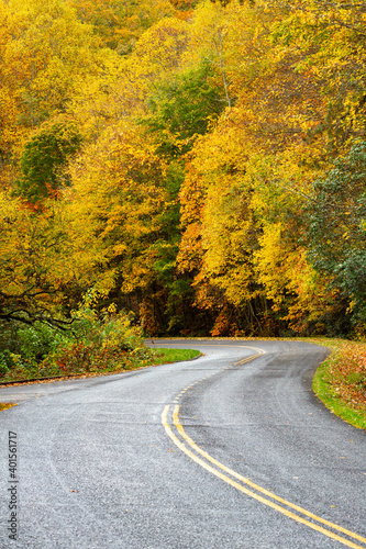 Curvy Road in Autumn on Blue Ridge Parkway