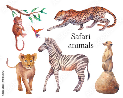 Fototapeta Naklejka Na Ścianę i Meble -  Watercolor safari animals illustration. Hand drawn set of animals isolated on white background. African fauna: zebra, lion, meerkat, chimp baby, leopard
