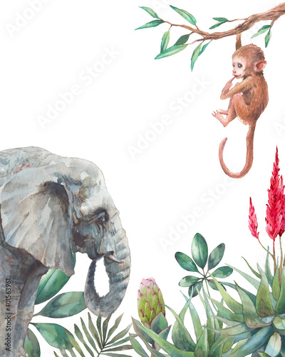 Canvas Print Tropical frame