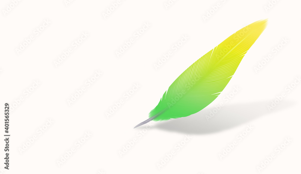 green and yellow bird feather from a parrot isolated with shadow on a blank background - digital drawing symbol of fragility writing a letter