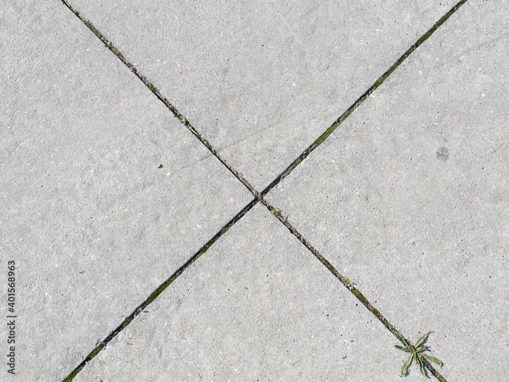 Obraz premium Abstract texture, concrete floor with joints.